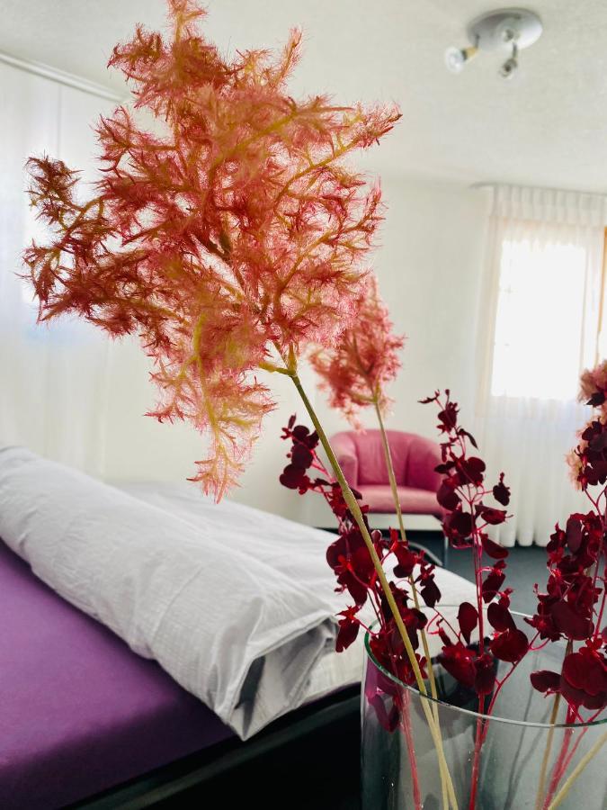 Maisonette Franz วัลส์ ภายนอก รูปภาพ